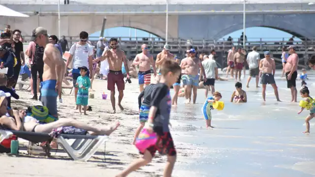 El sector turístico acusa a los vendedores de tours por ofrecer paquetes a costa de desprestigiar al puerto