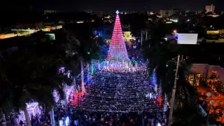 Llega la Navidad a Paseo de Montejo en Mérida: encienden el árbol de 20 metros de altura