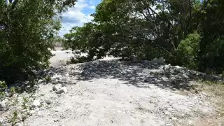 Denuncian a invasores por la quema del manglar en Uaymitún para la construcción de casas