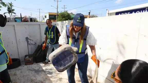 Contenedores y jornadas de recolección, entre las principales medidas del Ayuntamiento de Mérida