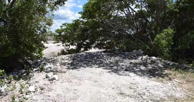 Pobladores reportan que la destrucción ocasionada por invasores se ha extendido hasta Uaymitún