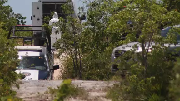 Los cuerpos de dos hombres en estado de putrefacción fueron encontrados en Isla Mujeres