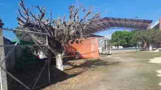 En Escárcega, padres   piden clases virtuales por riesgos en obras de escuela primaria 