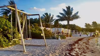 Activistas denuncian a hotel en Playa del Carmen por presuntos daños a manglares y zona federal marítima