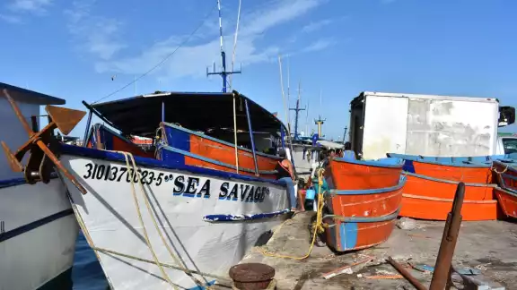 Niños trabajan en congeladoras, o como gavioteros y en reparación de embarcaciones