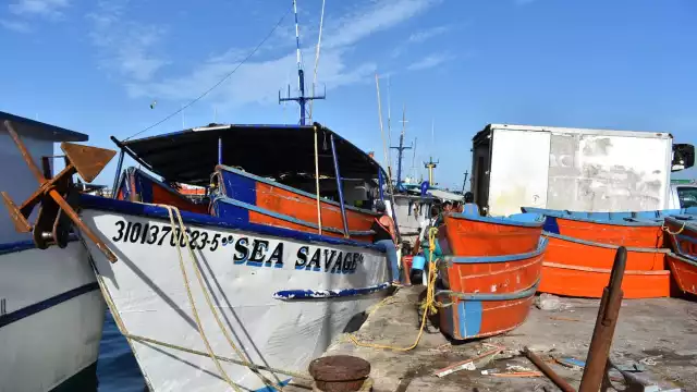 Niños trabajan en congeladoras, o como gavioteros y en reparación de embarcaciones