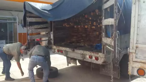 Los conductores de los vehículos dijeron que los contrataron para dirigirse hacia Río Lagartos Los conductores de los vehículos dijeron que los contrataron para dirigirse hacia Río Lagartos