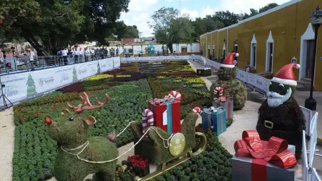 Los Paseos navideños de las flores se encuentran en Mérida, Izamal, Hunucmá y Valladolid