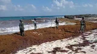 Se investigará la procedencia de la cocaína recalada en Cozumel