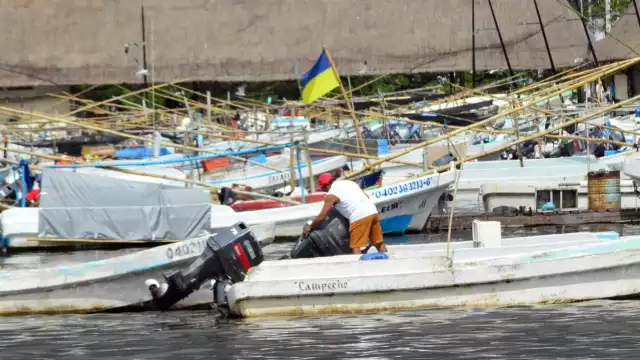 Se espera que en los próximos días las lluvias sean de moderadas a muy fuertes Foto: Alan Gómez