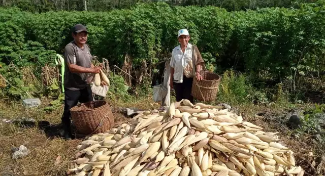 Pobladores abandonan el campo por siembras difíciles y la indiferencia de las nuevas generaciones