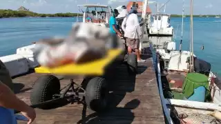 La captura se reiniciará el 1 de julio, con la langosta; esta temporada dejó derrama de 1.6 de mdp