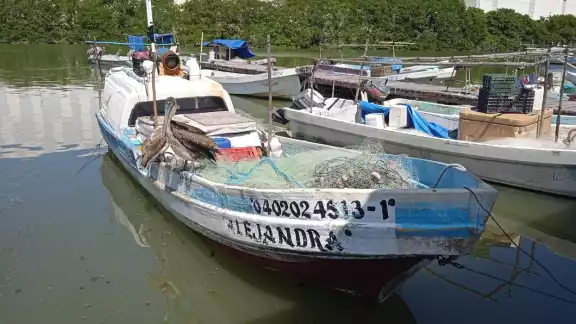 En Lerma se produce hasta tonelada y media de robalo, boquinete y otras especies marinas por viaje a la semana En Lerma se produce hasta tonelada y media de robalo, boquinete y otras especies marinas por viaje a la semana