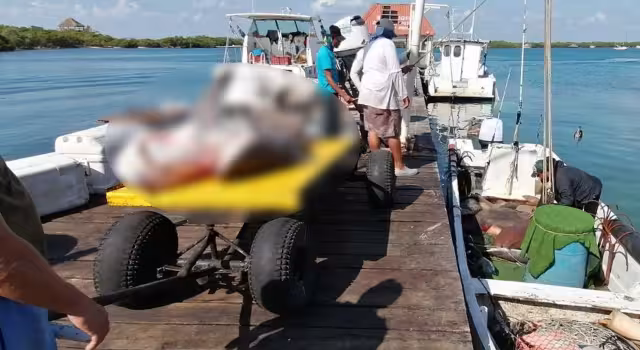 La captura se reiniciará el 1 de julio, con la langosta; esta temporada dejó derrama de 1.6 de mdp