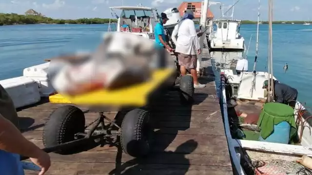 La captura se reiniciará el 1 de julio, con la langosta; esta temporada dejó derrama de 1.6 de mdp