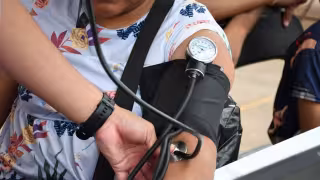 Martes de Carnaval: qué servicios sí operan y cuáles suspenden actividades en Yucatán