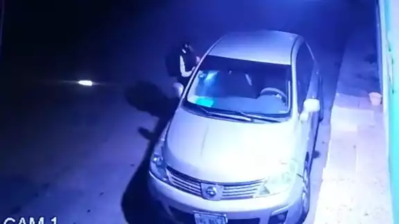 En las imágenes difundidas por WhatsApp, se observa el hecho y la cara del ladrón En las imágenes difundidas por WhatsApp, se observa el hecho y la cara del ladrón