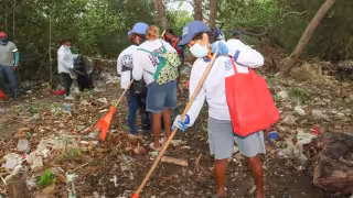 Afinan imagen urbana en playas de Progreso ante incremento de visitantes en fines de semana de Cuaresma