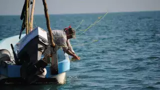 Frentes fríos y bajas ventas golpean al sector pesquero en Campeche