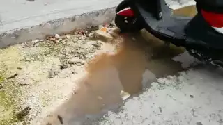 Habitantes de la colonia San Miguel 1 denuncian fuga de aguas negras en Cozumel