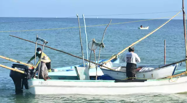Sector pesquero de Yucatán enfrenta 2026 entre vedas, robos y temor en altamar