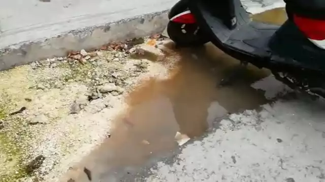 Habitantes de la colonia San Miguel 1 denuncian fuga de aguas negras en Cozumel