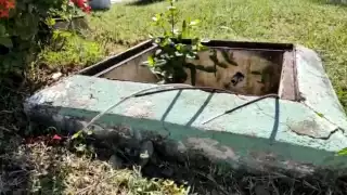 El ayuntamiento asegura que es durante el día que los amantes de lo ajeno se roban la cablería de parques