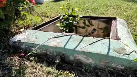 El ayuntamiento asegura que es durante el día que los amantes de lo ajeno se roban la cablería de parques El ayuntamiento asegura que es durante el día que los amantes de lo ajeno se roban la cablería de parques