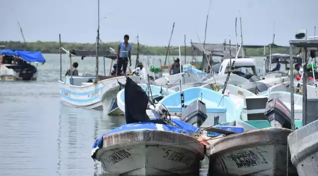 Pescadores buscan apoyar su economía con otras especies de peces durante el período de veda