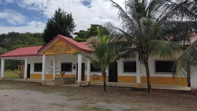 Los ganaderos acudirán ante la FGE Quintana Roo para exigir seguridad tras la llamada de extorsión