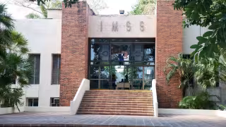 Denuncian muerte de tres bebés en IMSS de Jalisco; investigan posibles infecciones por Klebsiella