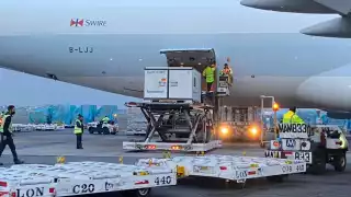 Actualmente ya se abrió el portal para jóvenes de 18 a 29 años de edad para recibir la vacuna contra el COVID-19