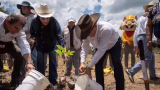 Yucatán se suma a Jornada Nacional de Reforestación 2026 desde Izamal