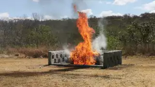 Autoridades decomisaron y destruyeron casi media tonelada de drogas