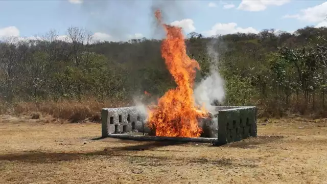 Autoridades decomisaron y destruyeron casi media tonelada de drogas