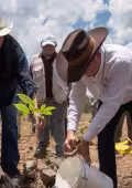 Yucatán participa en la Jornada Nacional de Reforestación 2026