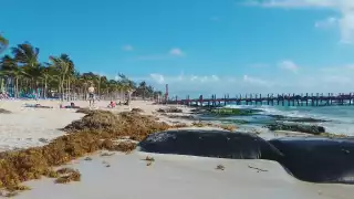 The Fives colocó otros geotextiles en un área fuera de su zona concesionada