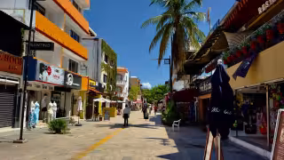 El sargazo y la caída del turismo profundizan la crisis económica en Playa del Carmen