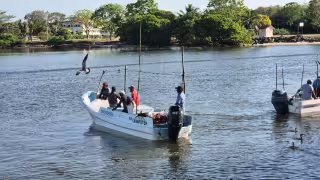 Pescadores ribereños de Champotón retomaron sus labores tras varias semanas paralizados por mal tiempo.