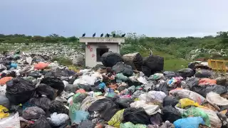 Son 10 hectáreas de terreno donde se ubica el relleno sanitario de Felipe Carrillo Puerto, que ya superó su capacidad de almacenaje