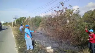 El fuego en la carretera de Playa del Carmen a Puerto Aventuras en Quintana Roo, fue causado presuntamente por los rayos solares reflejados en una botella de vidrio