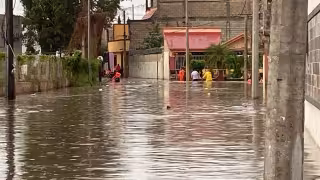 Lluvias desatan emergencia en Campeche: 137 familias afectadas, escuelas dañadas y cultivos inundados
