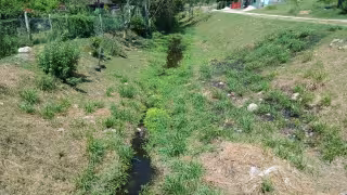 Altas temperaturas de hasta 38°C afectan a Escárcega.