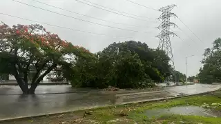 Cancún continúa en Alerta Roja tras el paso del Huracán Beryl en Quintana Roo