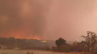 Las llamas devoran la vegetación del bosque La Primavera