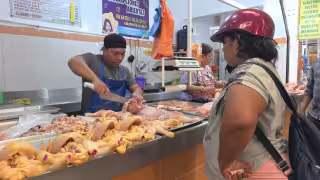 Comerciantes advierten posible alza en precio del pollo