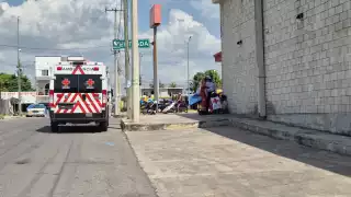 Una familia fue atacada por un enjambre en la colonia El aserradero
