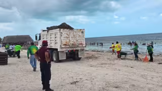 Se han retirado 15 toneladas de sargazo en Playa Bonita en los últimos días.
