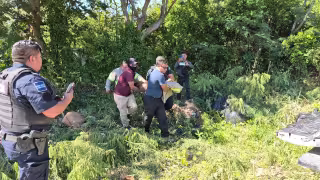 Venado provoca accidente de motocicleta en carretera Carmen–Puerto Real