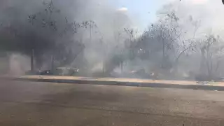 El fuego comenzó por un vecino que intentó quemar su basura